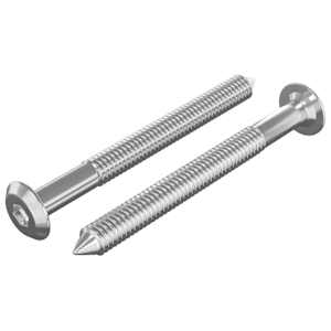 vidaXL M&ouml;&ouml;blikruvid 2 tk H&otilde;bedane M6 x 60 mm Teras