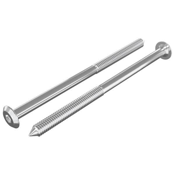 vidaXL M&ouml;&ouml;blikruvid 2 tk H&otilde;bedane M6 x 100 mm Teras