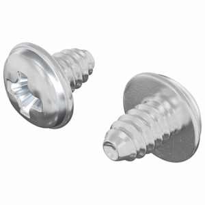 vidaXL Luku kruvid 2 tk H&otilde;bedane M4 x 5 mm Raud