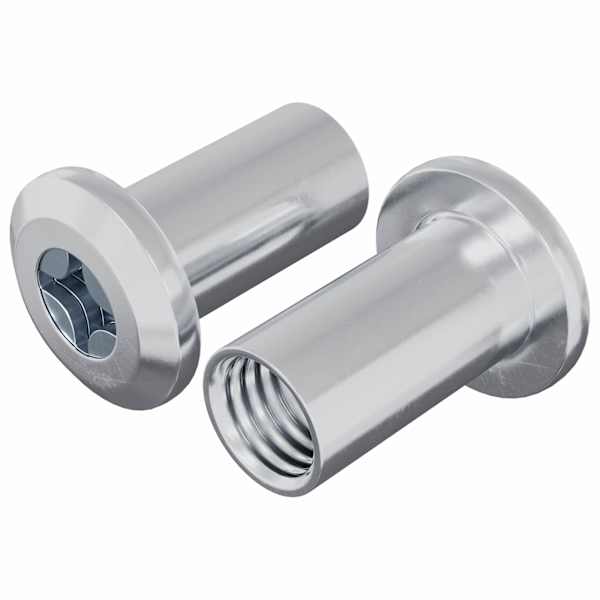 vidaXL Lukustusmutter 2 tk Nikkel M6 x 25 mm Teras
