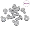 vidaXL Lukustus Kruvi &Uuml;ksv&auml;rviline 12 tk H&otilde;bedane M6 x 12 mm Teras