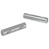 vidaXL P&auml;hkel 2 tk Tsinkkattega 60 x 12 mm Raud