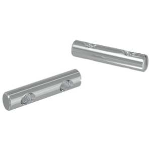 vidaXL P&auml;hkel 2 tk Tsinkkattega 60 x 12 mm Raud