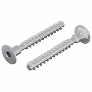 vidaXL Kinnitus 2 tk Tsinkkattega 5 x 40 mm Raud