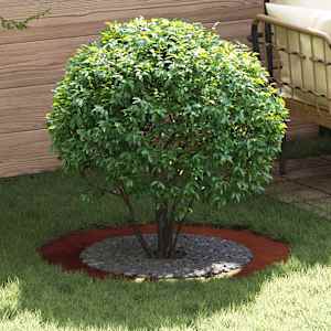 primeren za ravne obroče dreves 5 pcs Rjava Ø60 / 90 cm