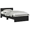 Black_oak