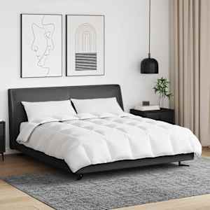 Zimska posteljnina z blazino 3 pcs Bela Perje