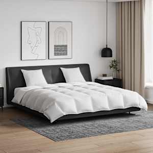 Komplet odej z blazino 3 pcs Bela Perje