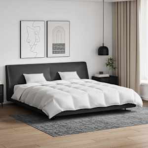 Komplet odej z blazino 3 pcs Bela Perje