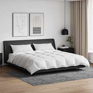 Komplet odej z blazino 3 pcs Bela Perje