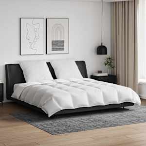 Komplet odej z blazino 3 pcs Bela Perje