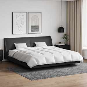 Komplet odej z blazino 3 pcs Bela Perje