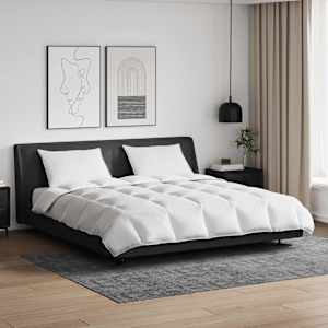 Komplet odej z blazino 3 pcs Bela Perje