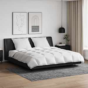 Komplet odej z blazino 3 pcs Bela Perje