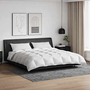 Komplet odej z blazino 3 pcs Bela Perje