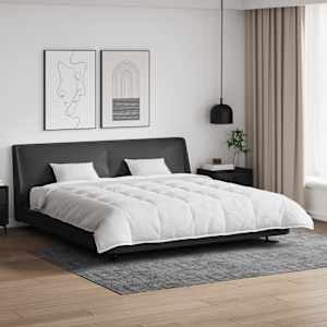 Komplet odej z blazino 3 pcs Bela Perje