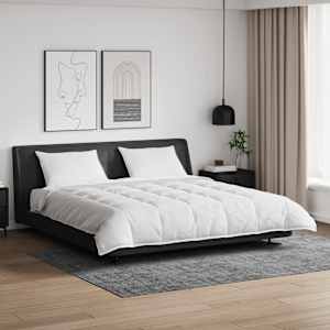 Komplet odej z blazino 3 pcs Bela Perje