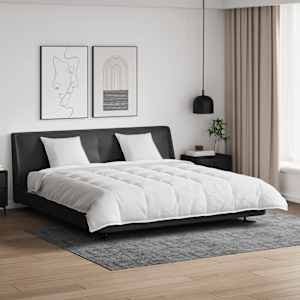 Komplet odej z blazino 3 pcs Bela Perje