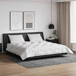 Odeja z blazino 3 pcs Bela Mikrofibra