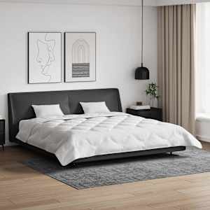 Odeja z blazino 3 pcs Bela Mikrofibra