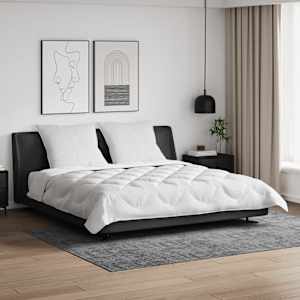 Komplet odej z blazino 3 pcs Bela Mikrofibra in perje