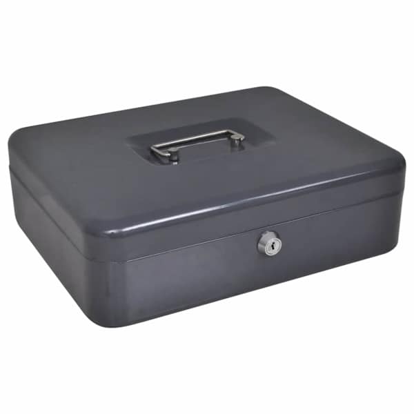vidaXL Rahaalus lukuga Tumehall 30 x 24 x 9 cm Teras