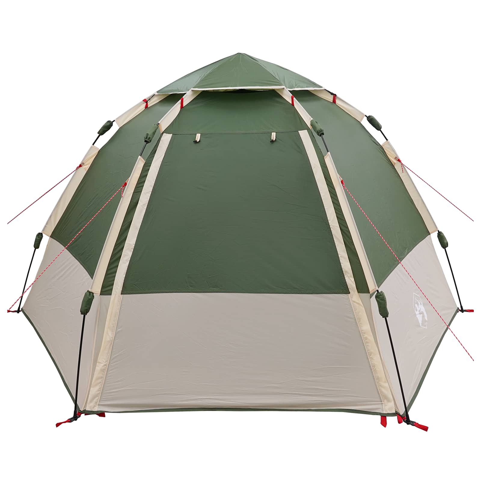 Takojšnji šotor s shranjevanjem Zelena 280 x 280 x 160 cm Jeklo - slika 5