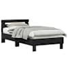 Black_oak