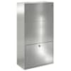 vidaXL Pakiautomaat ladustamisega H&otilde;bedane 44 x 22 x 82 cm Tsinkteras