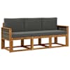 Natural_and_anthracite