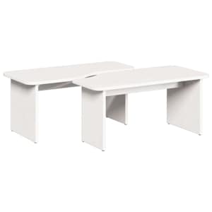 vidaXL Kohvilaud 2 tk Valge 100 x 69 x 35,5 cm M&auml;nnipuit