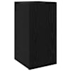 Black_oak
