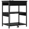 Black_oak