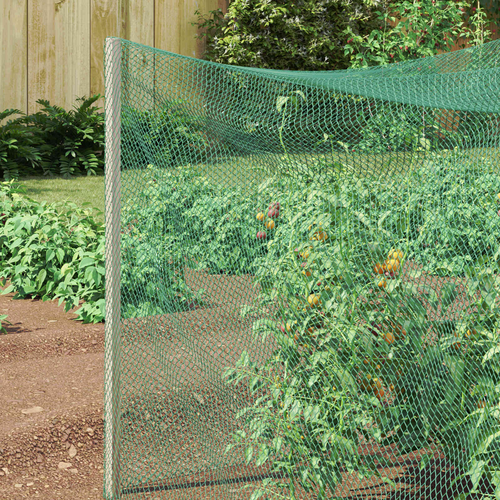 Thumbnail - vidaXL Vogelschutznetz Grün 4 x 25 m Polyethylen