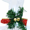 Toote pisipilt  9 / 12
