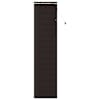 Dark_brown