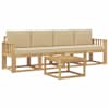 White_and_beige