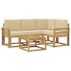 White_and_beige