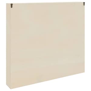 Nástěnný vitrínový box Béžová 60 x 8,5 x 54 cm Překližka - obrázek 7