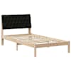 Brown_and_black