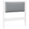 White_and_light_grey