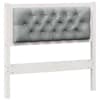 White_and_light_grey