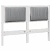 White_and_light_grey