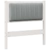 White_and_light_grey
