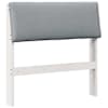 White_and_light_grey