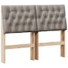 Brown_and_taupe