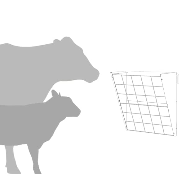 Toote pisipilt  10 / 13