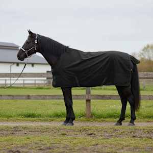 Deka pro koně Tmavě zelená a černá 85 cm Polyester - obrázek 1
