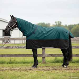 Deka pro koně Tmavě zelená a černá 85 cm Polyester - obrázek 1