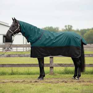 Deka pro koně Tmavě zelená a černá 95 cm Polyester - obrázek 1